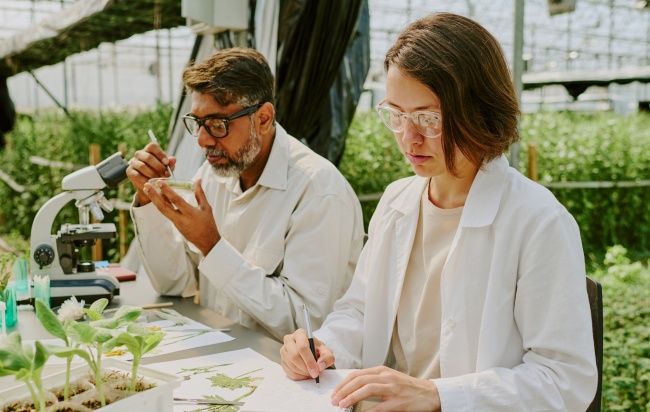 two scientists working in lab examining plant specimen
