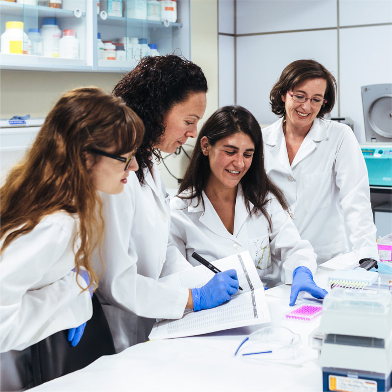 Launching assessment image