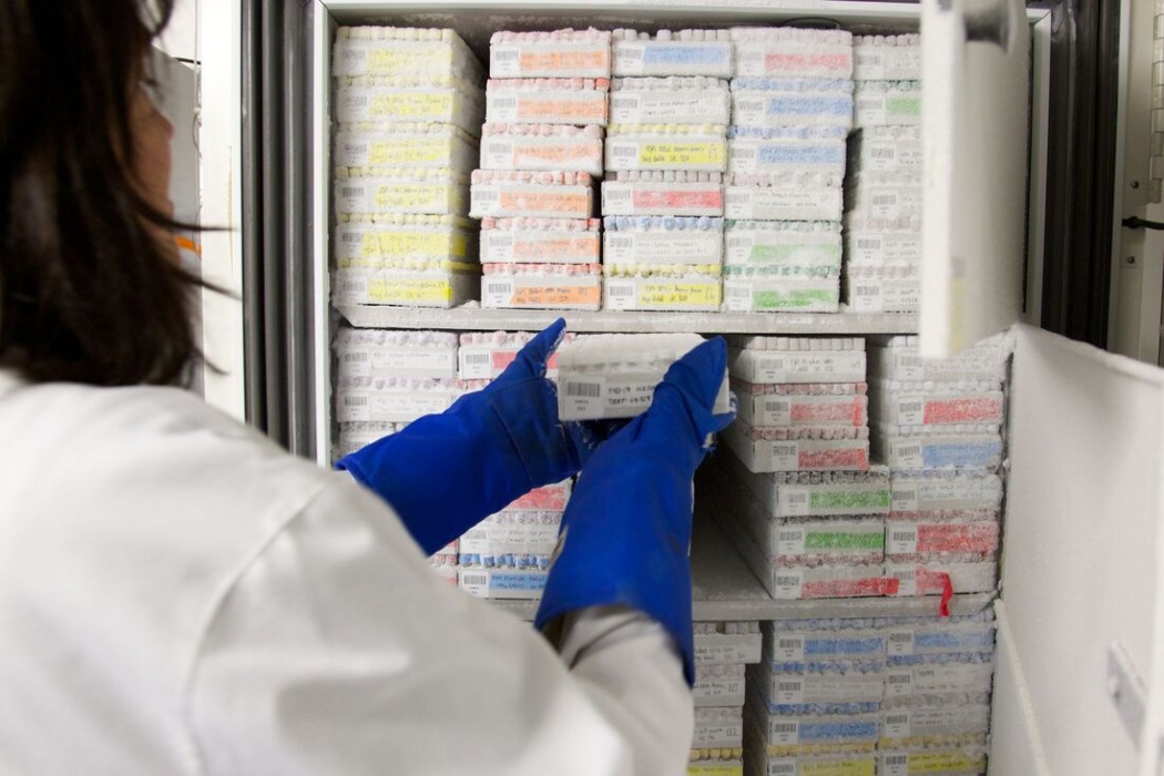 Freezer with tip racks