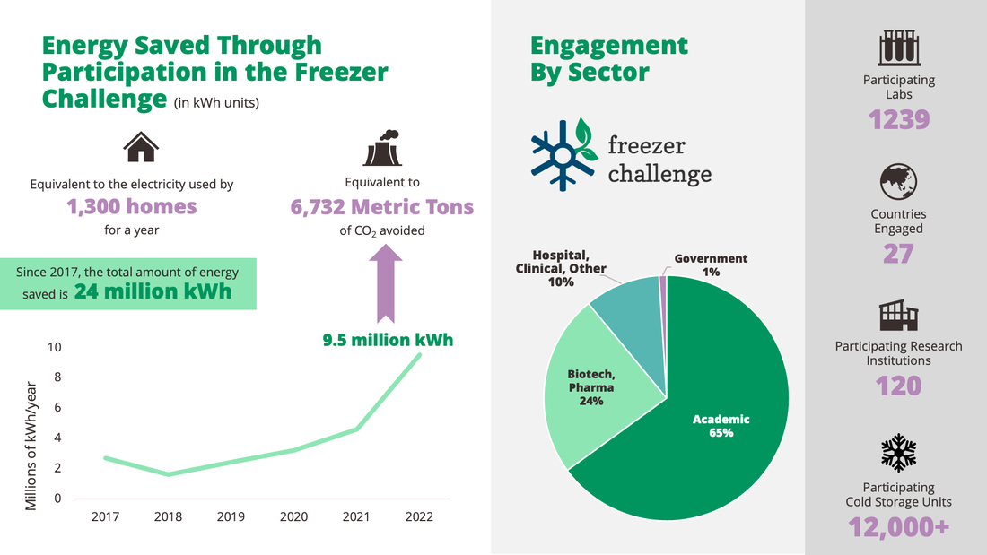 energy saved through the freezer challenge