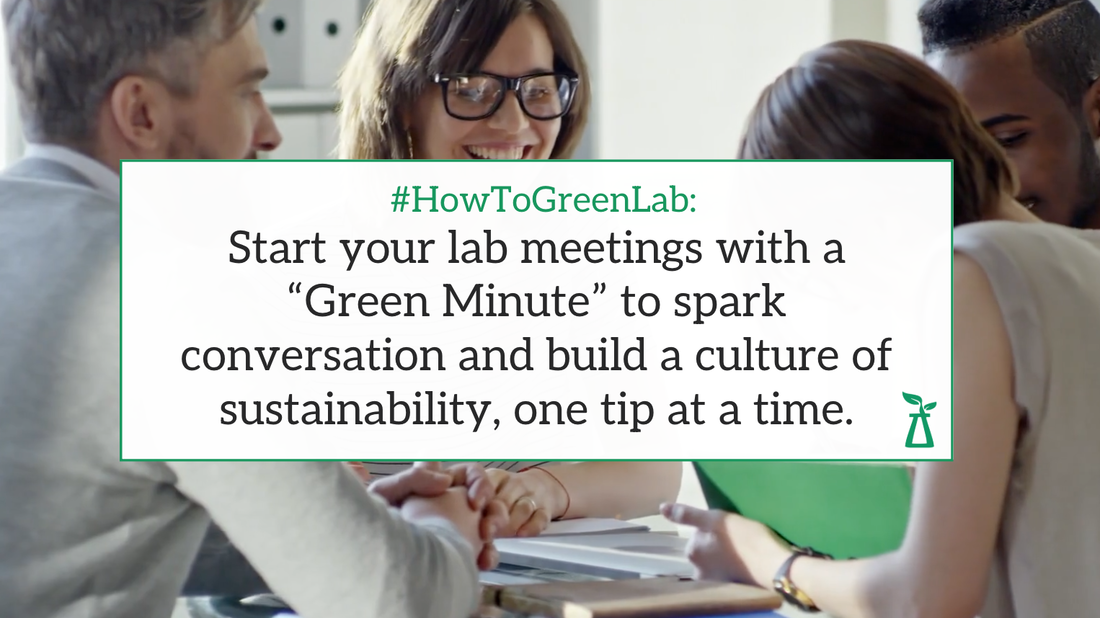 group of people coworking happily